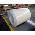 Prepainted Galvanized Steel in Coil, PPGI